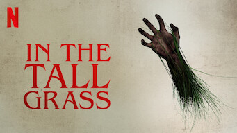 In the Tall Grass