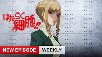 Cells at Work!: Cells at Work!!